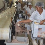 Beneficiamento do coco em indústria alagoana