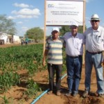 Produtor rural Cícero de Souza com o secretário José Marinho e o diretor Hibernon Cavalcante na unidade demonstrativa de produção agrícola