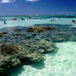 Piscina natural nas praias de Alagoas encantam cada vez os turistas europeus