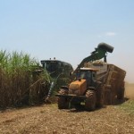 Setor sucroenergético vai receber R$ 260 milhões de subvenção da cana-de-açúcar