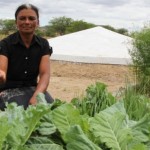 Edite Melo dos Santos mostra a plantação de hortaliças