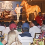 Maceio Horses Show contagiou o mercado agropecuário