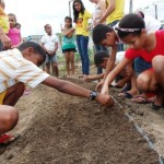 Estudantes aprendem a cultivar hortas nas escolas estaduais