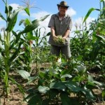 Agricultura familiar tem se expandido com o apoio do Banco do Nordeste