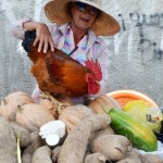 Agricultor vende em banca montada na feira hortifrutigranjeiros