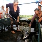 Mulheres satisfeitas durante a pesca da tilápia