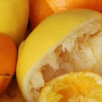 Bagaço de laranja lima pode ser utilizado para a fabricação de cachaça
