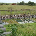 Flutuações de estação para irrigação dos perímetros