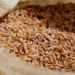 Secretaria de Agricultura vai distribuir arroz para pequenos produtores