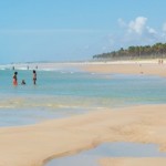 Somente neste ano, até o momento, quase dez mil turistas estrangeiros desembarcaram em Alagoas