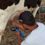 CPLA levando mais assistência e novos conhecimentos ao pequeno produtor de leite