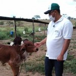 Produtor rural Flávio Amaral tem investido na ampliação e melhorias da fazenda