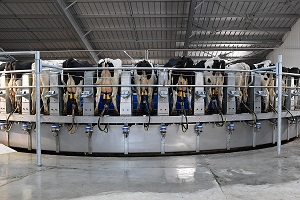 Verminoses afetam a produção de leite e a rentabilidade da fazenda