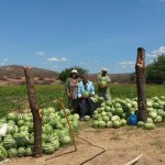 Produtores rurais conseguem melhorar renda com apoio do Banco do Nordeste