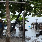 Sustento das famílias residentes próximas à Lagoa do Mundaú está cada vez mais difícil com o desaparecimento do sururu